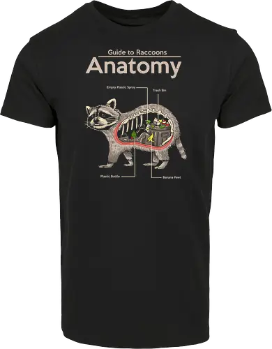 Anatomy of a Raccoon