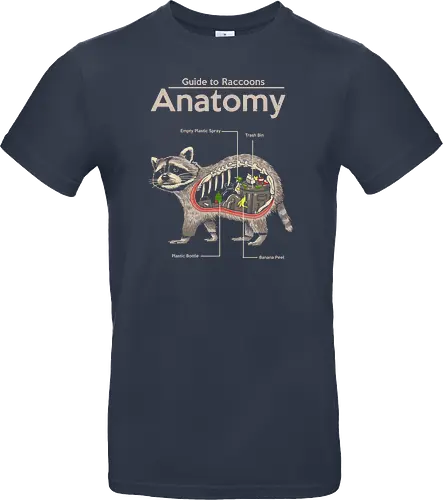 Anatomy of a Raccoon