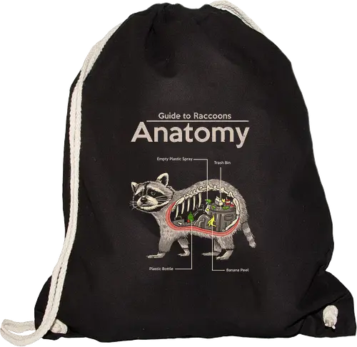 Anatomy of a Raccoon