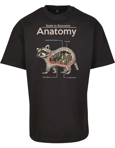 Anatomy of a Raccoon