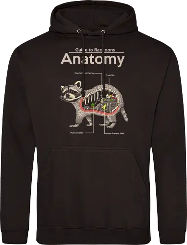 Anatomy of a Raccoon