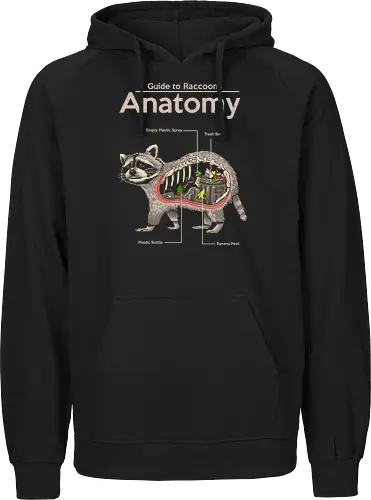 Anatomy of a Raccoon