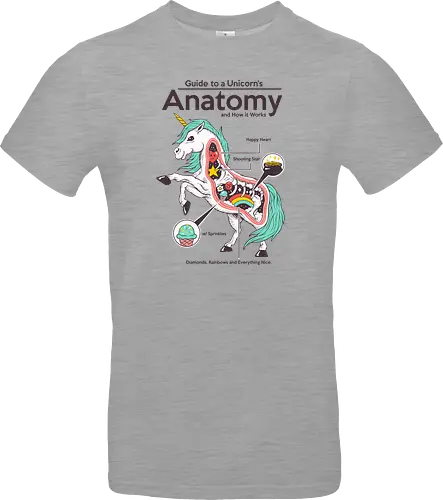 Anatomy of a Unicorn