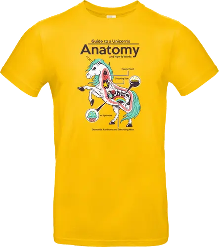 Anatomy of a Unicorn