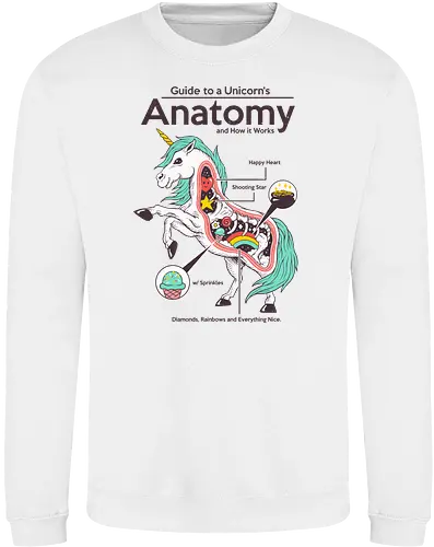 Anatomy of a Unicorn
