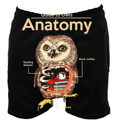 Anatomy of Owls