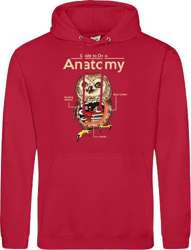 Anatomy of Owls