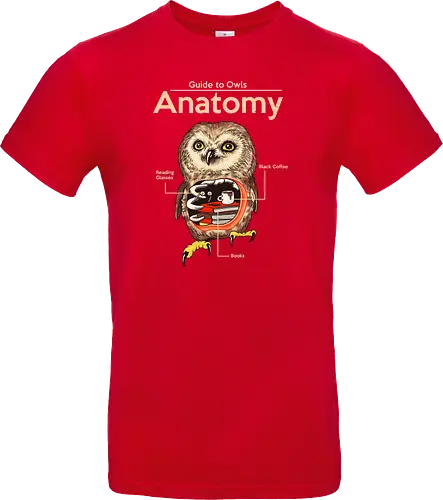 Anatomy of Owls