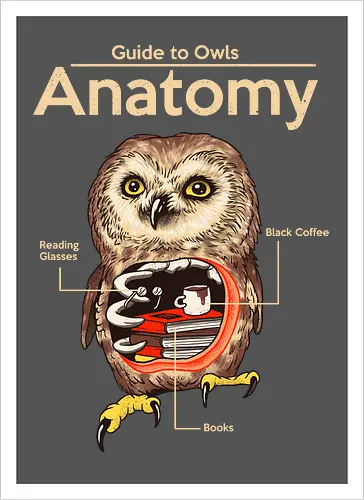 Anatomy of Owls