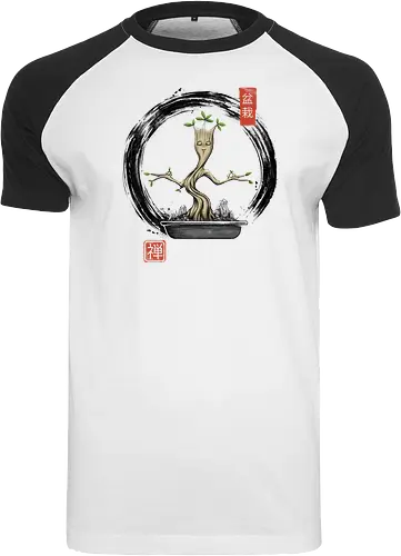 Bonsai Meditations