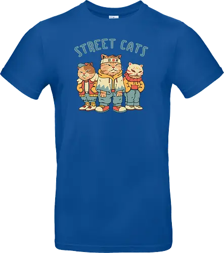 Street Cats