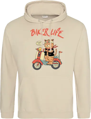 Motor Cats