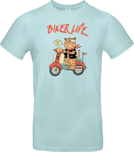 Motor Cats