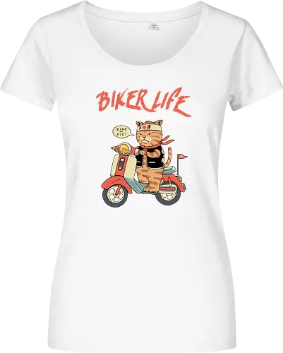 Motor Cats
