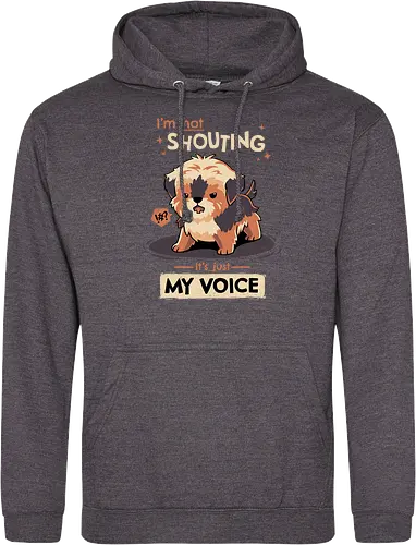 My Voice