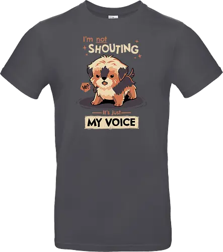 My Voice