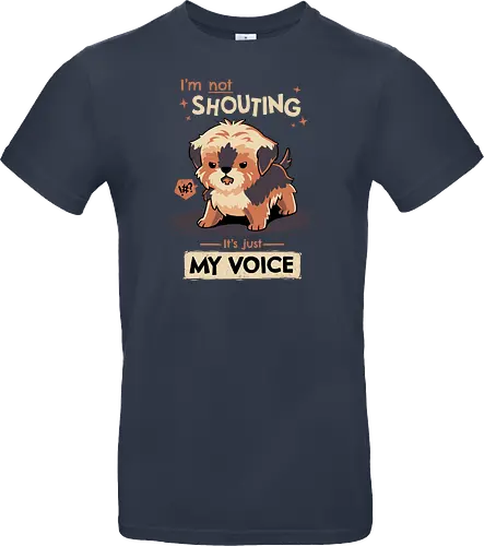 My Voice