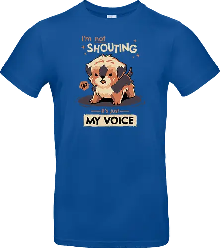My Voice