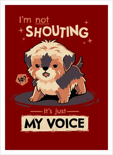 My Voice