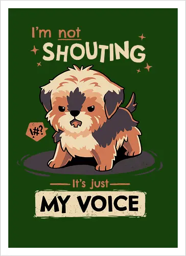 My Voice