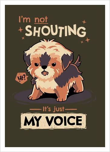 My Voice