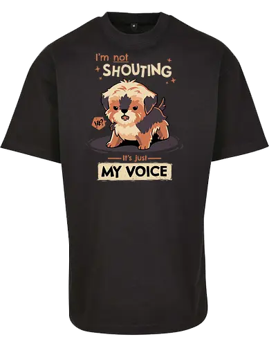 My Voice