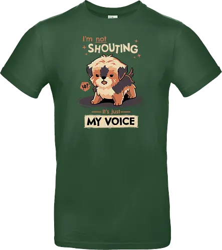My Voice