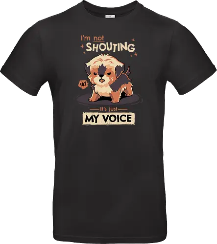 My Voice