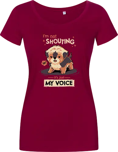 My Voice