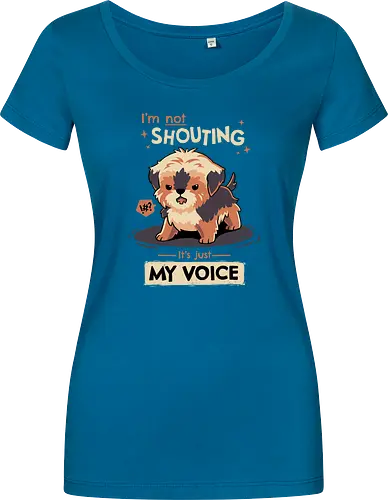 My Voice