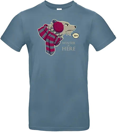 Winter is here - winter, stark, game, wolf, throConsole - Standard T-Shirt