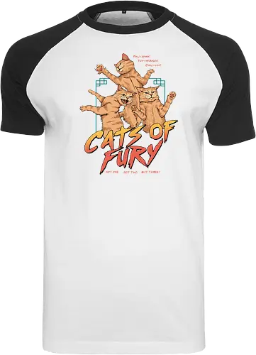 Cats of Fury!