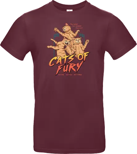 Cats of Fury!