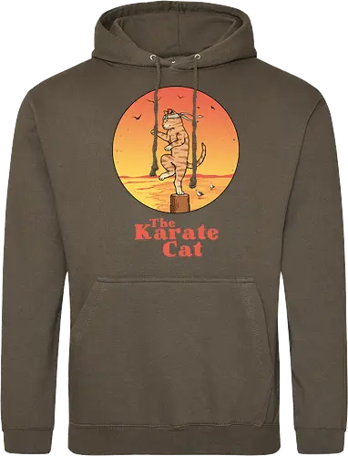 The Karate Cat