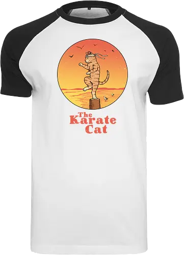 The Karate Cat