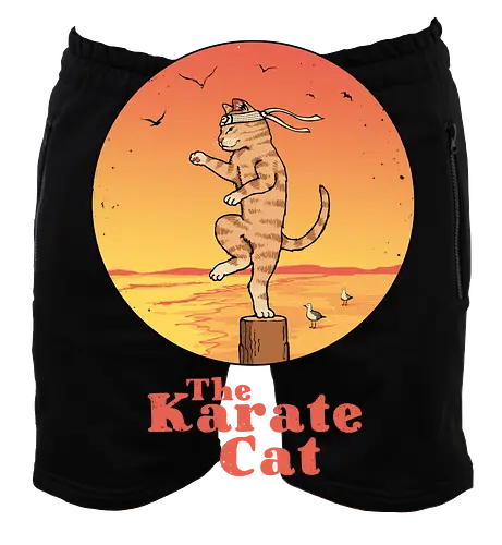 The Karate Cat