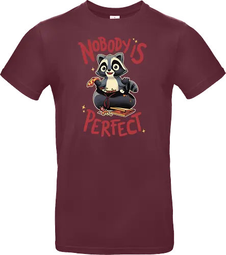 Nobody is Perfect
