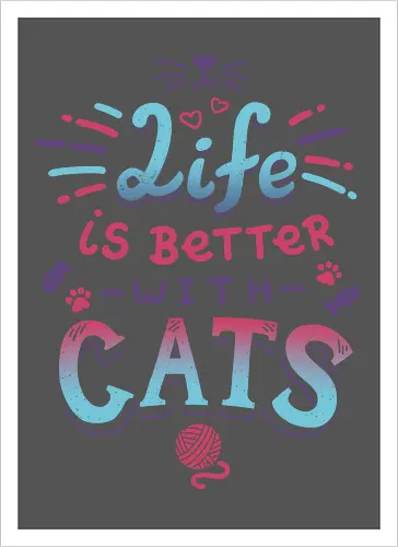 Life is better with Cats