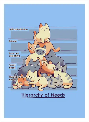Hierarchy of Needs - Cats