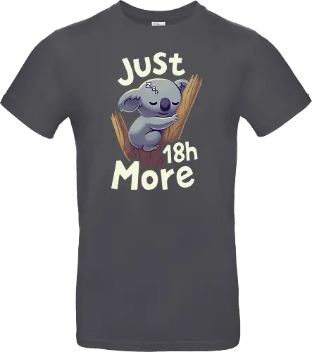 Koala Just 18h More