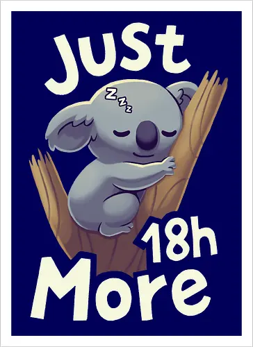 Koala Just 18h More