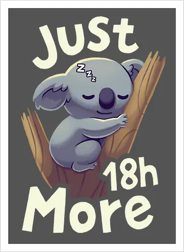 Koala Just 18h More