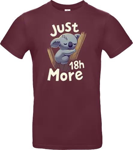 Koala Just 18h More