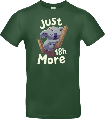 Koala Just 18h More