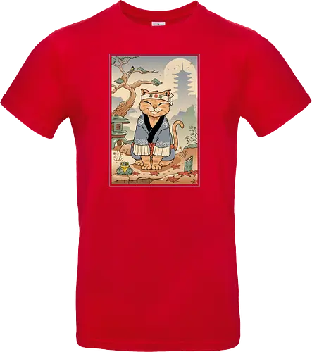 Zen Meowster