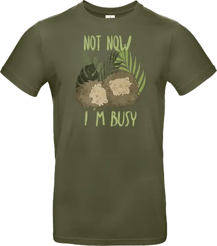 Busy Hedgehog