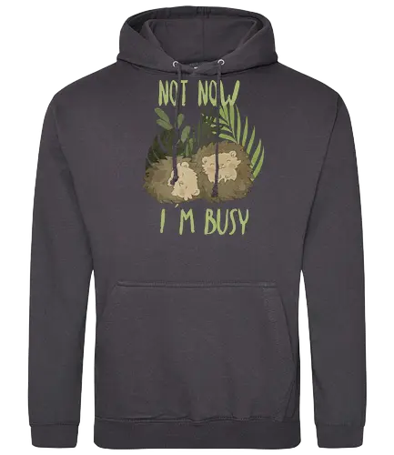 Busy Hedgehog - hedgehog, igel, cute, kawaii, Busy, sleep - Standard Hoodie