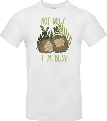 Busy Hedgehog