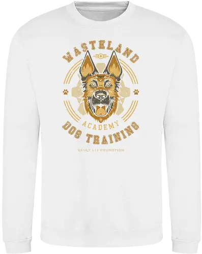 Wasteland Training Academy