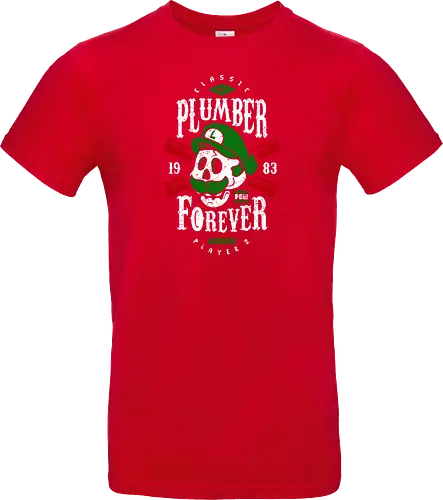 Plumber Forever - Player 2